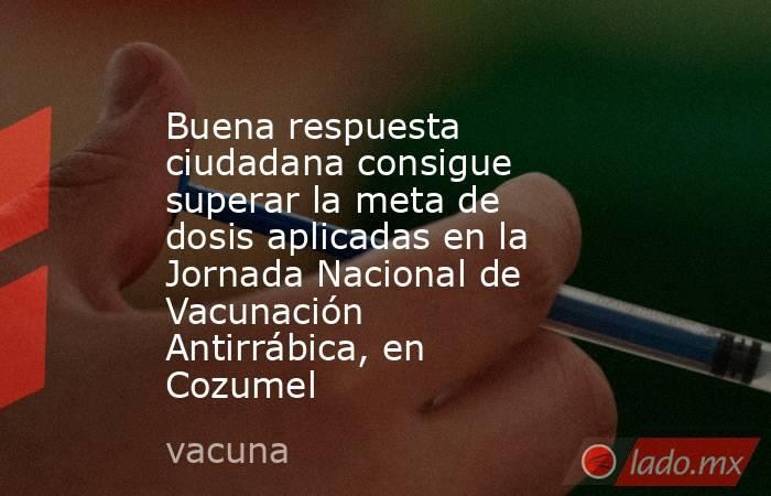 Buena respuesta ciudadana consigue superar la meta de dosis aplicadas en la Jornada Nacional de Vacunación Antirrábica, en Cozumel. Noticias en tiempo real