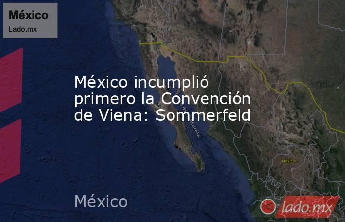 México incumplió primero la Convención de Viena: Sommerfeld. Noticias en tiempo real