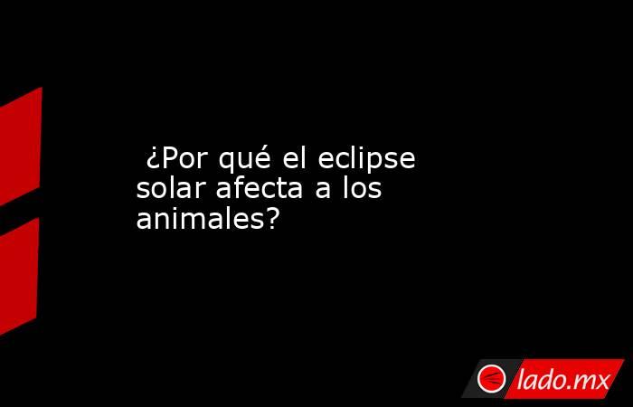  ¿Por qué el eclipse solar afecta a los animales?. Noticias en tiempo real