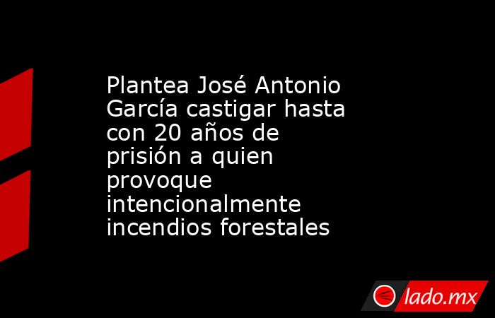 Plantea José Antonio García castigar hasta con 20 años de prisión a quien provoque intencionalmente incendios forestales. Noticias en tiempo real