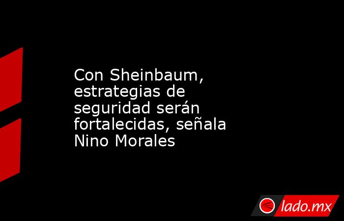 Con Sheinbaum, estrategias de seguridad serán fortalecidas, señala Nino Morales. Noticias en tiempo real