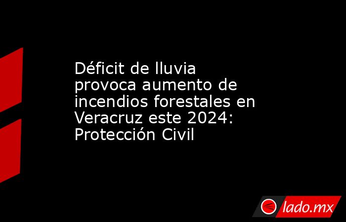 Déficit de lluvia provoca aumento de incendios forestales en Veracruz este 2024: Protección Civil. Noticias en tiempo real
