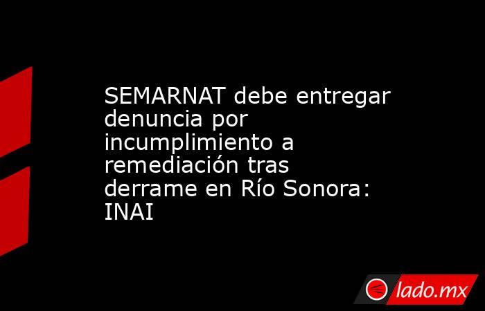 SEMARNAT debe entregar denuncia por incumplimiento a remediación tras derrame en Río Sonora: INAI. Noticias en tiempo real