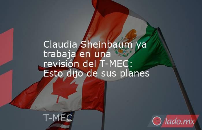 Claudia Sheinbaum ya trabaja en una revisión del T-MEC: Esto dijo de sus planes. Noticias en tiempo real