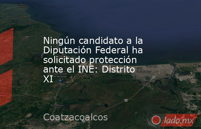 Ningún candidato a la  Diputación Federal ha  solicitado protección  ante el INE: Distrito XI. Noticias en tiempo real
