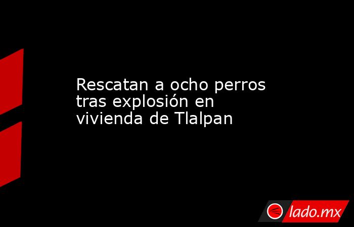 Rescatan a ocho perros tras explosión en vivienda de Tlalpan. Noticias en tiempo real