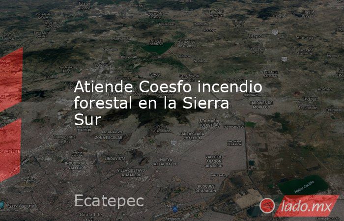 Atiende Coesfo incendio forestal en la Sierra Sur. Noticias en tiempo real