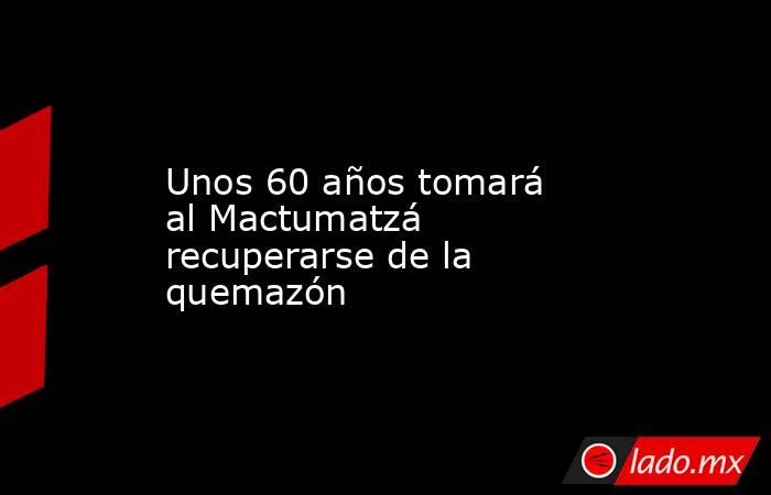 Unos 60 años tomará al Mactumatzá recuperarse de la quemazón. Noticias en tiempo real