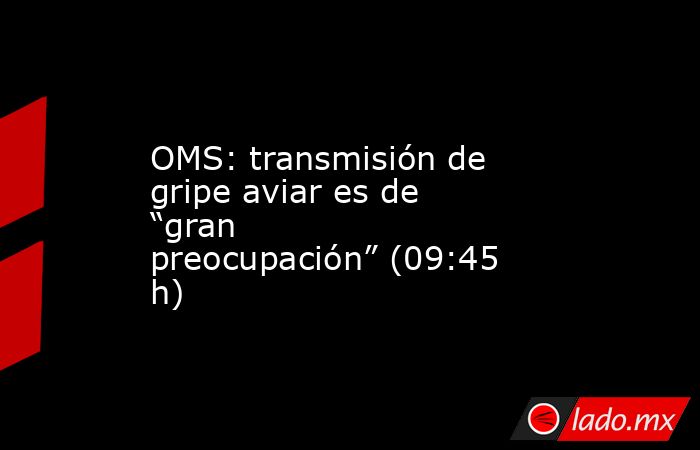 OMS: transmisión de gripe aviar es de “gran preocupación” (09:45 h). Noticias en tiempo real