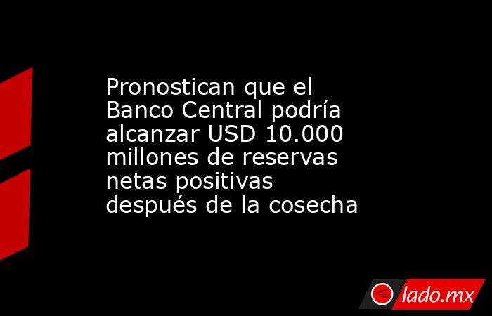 Pronostican que el Banco Central podría alcanzar USD 10.000 millones de reservas netas positivas después de la cosecha. Noticias en tiempo real