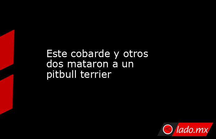 Este cobarde y otros dos mataron a un pitbull terrier. Noticias en tiempo real