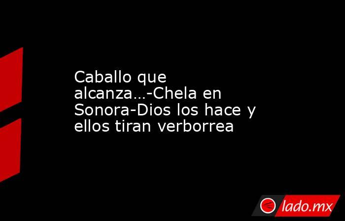 Caballo que alcanza…-Chela en Sonora-Dios los hace y ellos tiran verborrea. Noticias en tiempo real