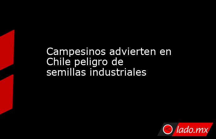 Campesinos advierten en Chile peligro de semillas industriales. Noticias en tiempo real