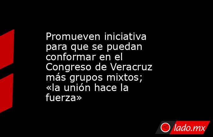 Promueven iniciativa para que se puedan conformar en el Congreso de Veracruz más grupos mixtos; «la unión hace la fuerza». Noticias en tiempo real