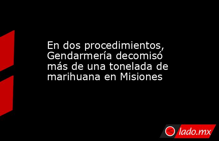 En dos procedimientos, Gendarmería decomisó  más de una tonelada de marihuana en Misiones. Noticias en tiempo real