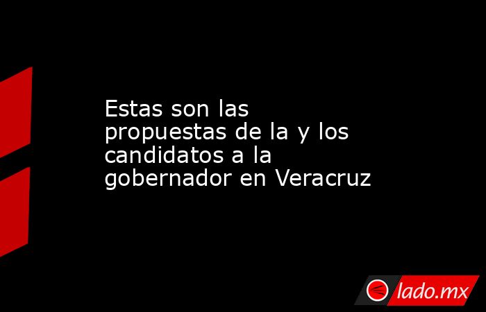 Estas son las propuestas de la y los candidatos a la gobernador en Veracruz. Noticias en tiempo real