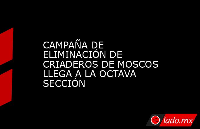 CAMPAÑA DE ELIMINACIÓN DE CRIADEROS DE MOSCOS LLEGA A LA OCTAVA SECCIÓN. Noticias en tiempo real