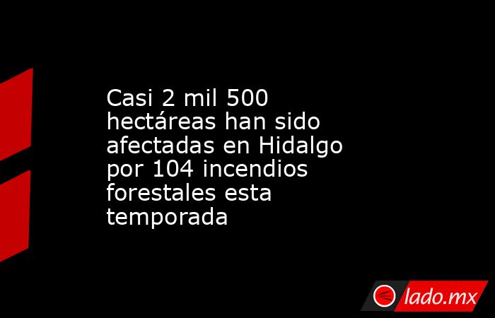 Casi 2 mil 500 hectáreas han sido afectadas en Hidalgo por 104 incendios forestales esta temporada. Noticias en tiempo real