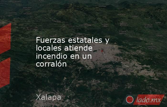 Fuerzas estatales y locales atiende incendio en un corralón. Noticias en tiempo real