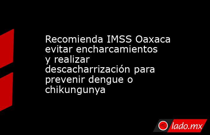 Recomienda IMSS Oaxaca evitar encharcamientos y realizar descacharrización para prevenir dengue o chikungunya. Noticias en tiempo real