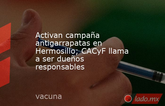 Activan campaña antigarrapatas en Hermosillo; CACyF llama a ser dueños responsables. Noticias en tiempo real