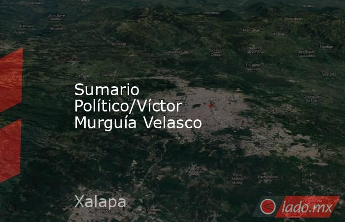 Sumario Político/Víctor Murguía Velasco. Noticias en tiempo real