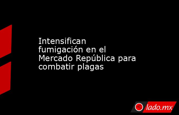 Intensifican fumigación en el Mercado República para combatir plagas ...