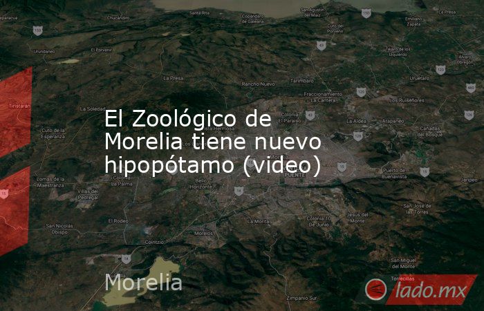 El Zoológico de Morelia tiene nuevo hipopótamo (video). Noticias en tiempo real