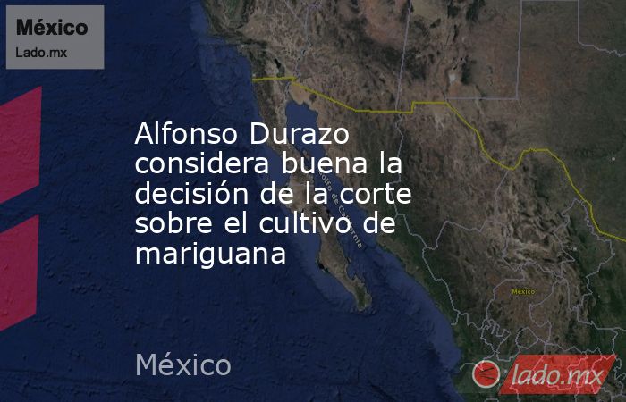 Alfonso Durazo considera buena la decisión de la corte sobre el cultivo de mariguana. Noticias en tiempo real
