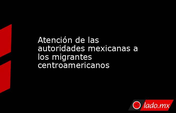 Atención de las autoridades mexicanas a los migrantes centroamericanos. Noticias en tiempo real