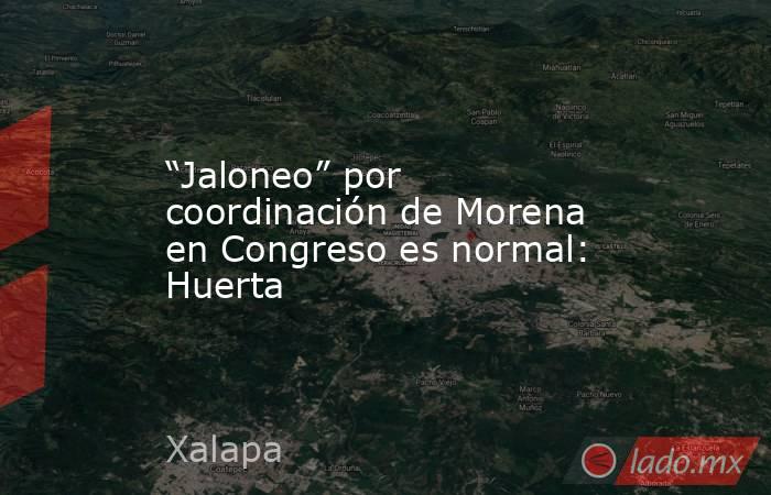 “Jaloneo” por coordinación de Morena en Congreso es normal: Huerta. Noticias en tiempo real