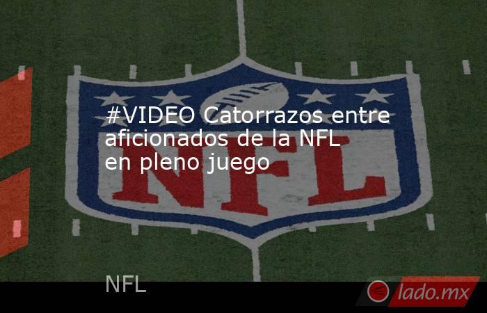 #VIDEO Catorrazos entre aficionados de la NFL en pleno juego 
. Noticias en tiempo real