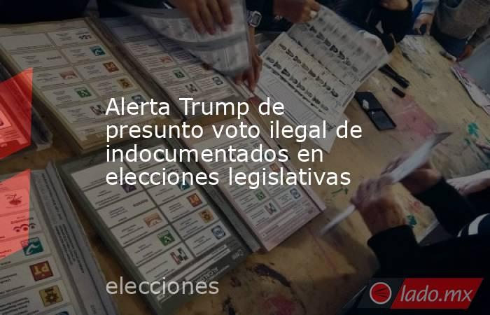 Alerta Trump de presunto voto ilegal de indocumentados en elecciones legislativas. Noticias en tiempo real