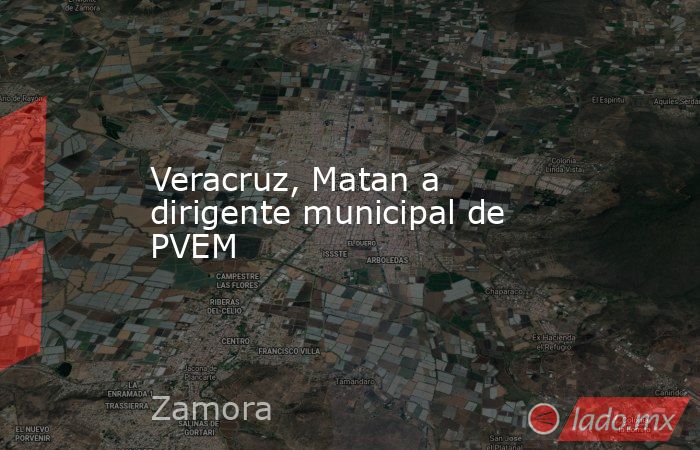 Veracruz, Matan a dirigente municipal de PVEM. Noticias en tiempo real