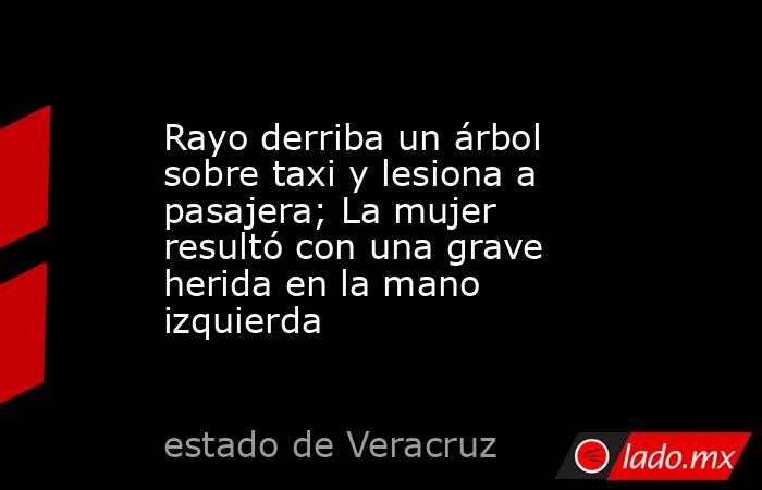 Rayo derriba un árbol sobre taxi y lesiona a pasajera; La mujer resultó con una grave herida en la mano izquierda. Noticias en tiempo real