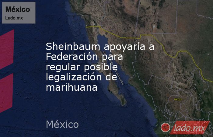 Sheinbaum apoyaría a Federación para regular posible legalización de marihuana. Noticias en tiempo real