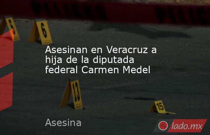 Asesinan en Veracruz a hija de la diputada federal Carmen Medel. Noticias en tiempo real
