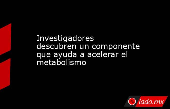 Investigadores descubren un componente que ayuda a acelerar el metabolismo. Noticias en tiempo real