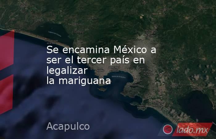 Se encamina México a ser el tercer país en legalizar la mariguana . Noticias en tiempo real