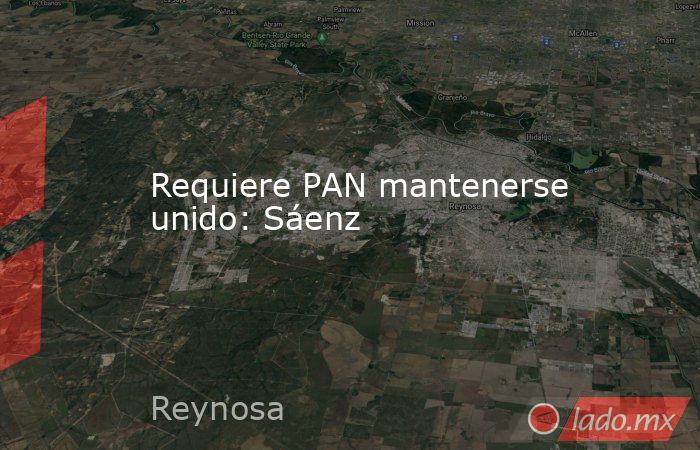 Requiere PAN mantenerse unido: Sáenz. Noticias en tiempo real