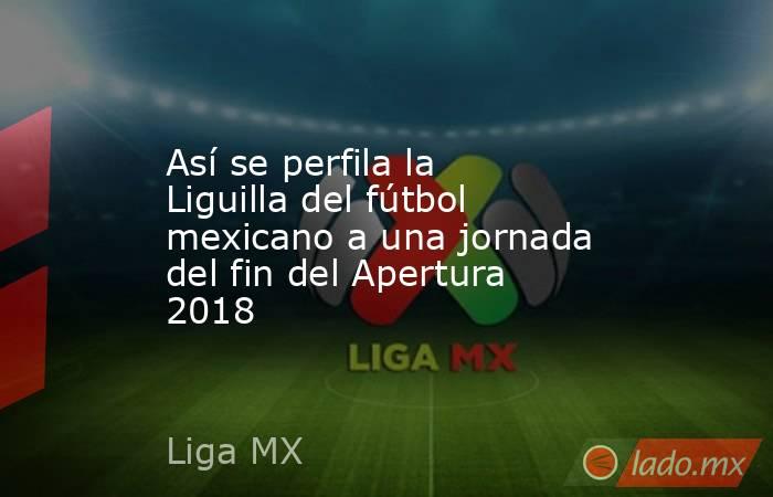 Así se perfila la Liguilla del fútbol mexicano a una jornada del fin del Apertura 2018. Noticias en tiempo real