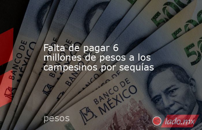 Falta de pagar 6 millones de pesos a los campesinos por sequías. Noticias en tiempo real