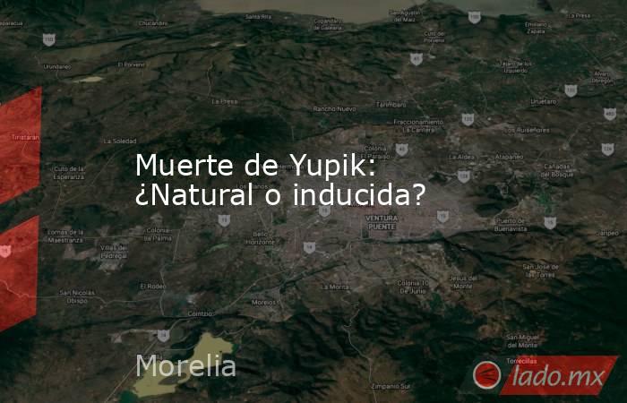 Muerte de Yupik: ¿Natural o inducida?. Noticias en tiempo real