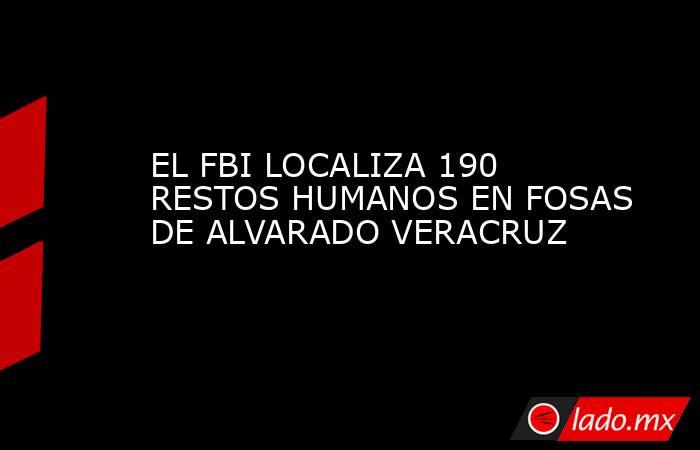 EL FBI LOCALIZA 190 RESTOS HUMANOS EN FOSAS DE ALVARADO VERACRUZ. Noticias en tiempo real