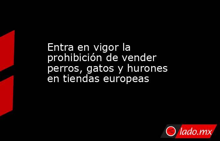 Entra en vigor la prohibición de vender perros, gatos y hurones en tiendas europeas. Noticias en tiempo real