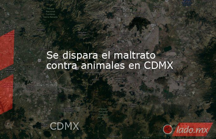 Se dispara el maltrato contra animales en CDMX. Noticias en tiempo real