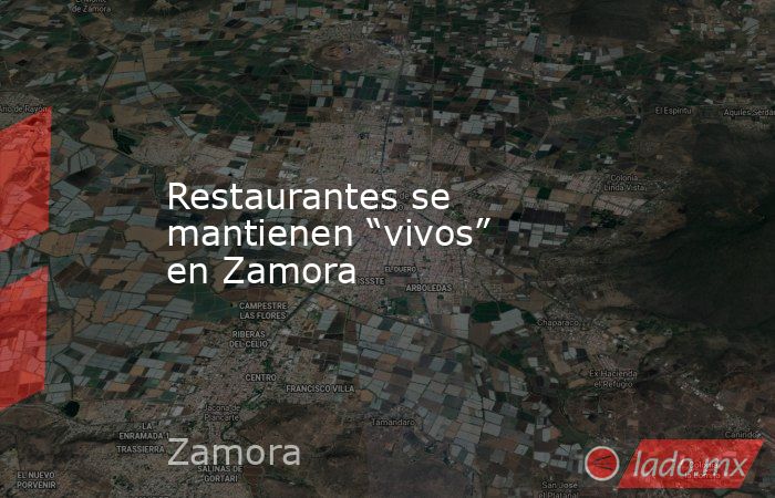 Restaurantes se mantienen “vivos” en Zamora. Noticias en tiempo real
