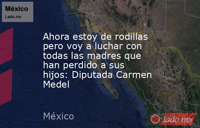 Ahora estoy de rodillas pero voy a luchar con todas las madres que han perdido a sus hijos: Diputada Carmen Medel. Noticias en tiempo real