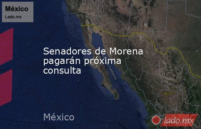 Senadores de Morena pagarán próxima consulta. Noticias en tiempo real