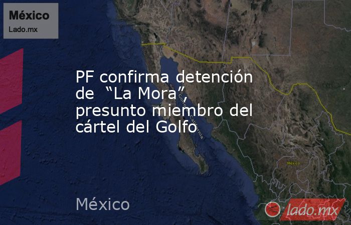 PF confirma detención de  “La Mora”, presunto miembro del cártel del Golfo. Noticias en tiempo real